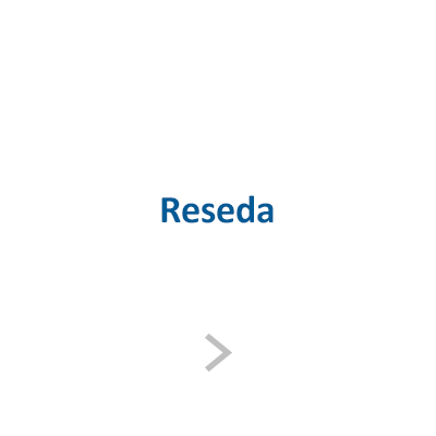 RESEDA